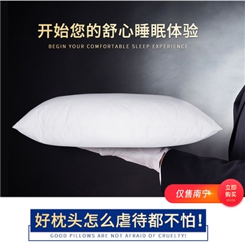 【仅售南宁】杜邦绒 棉护颈椎助睡眠 家用宿舍 枕头枕芯